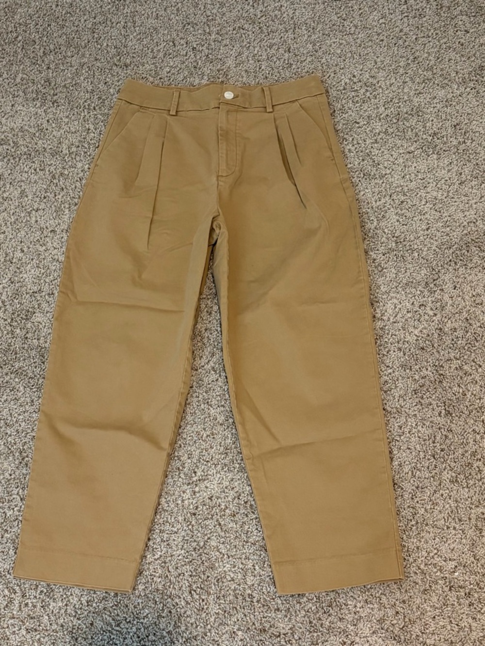 Banana Republic Pleated Chino Pants - Khaki Brown